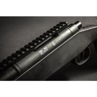 Evolution M40